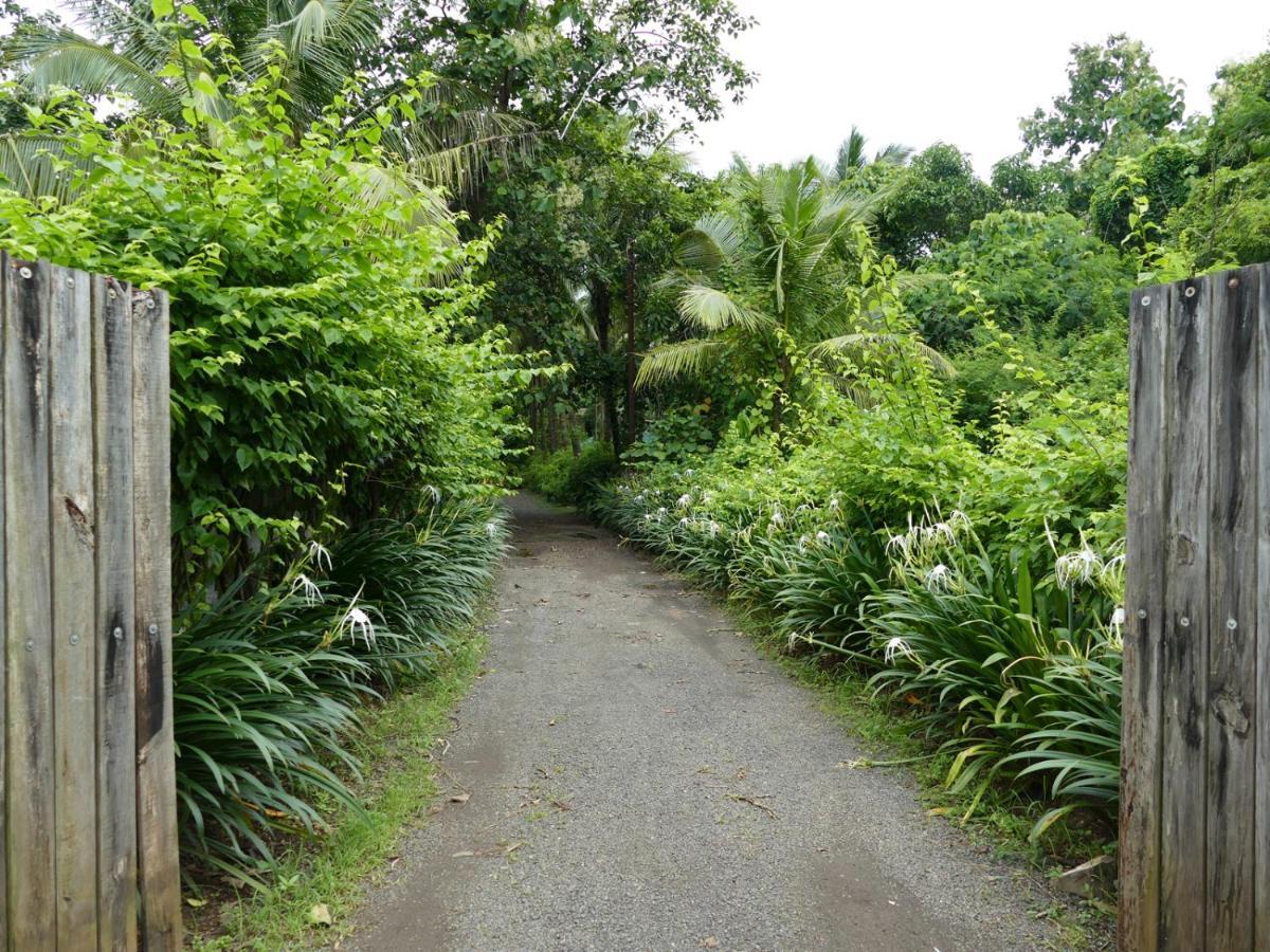 Mango Beach Villas Kihim Alibaug Exterior photo